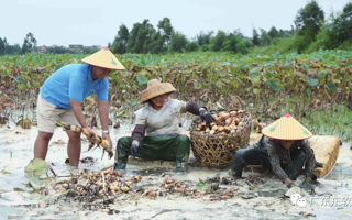 beat365校友获评“广东好人”