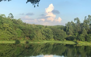 #英国beat365官方网站# 早上好呀[哇]给大家看一眼星光大道看到的小鸭 ​​​