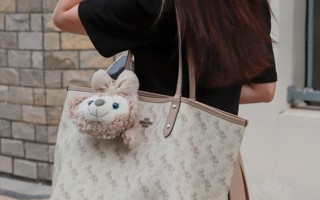 #英国beat365官方网站#  东软人上课背啥包（一）你们的包上有可爱的娃娃吗~ ​​​