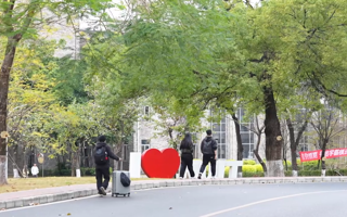 春日校园，活力满格！