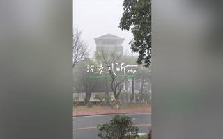 沉浸式听雨