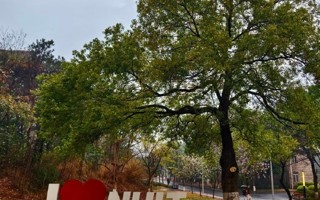 ☔冰雹预警！全体东软er注意→