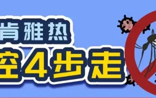 基孔肯雅热怎么防？4张图说清楚